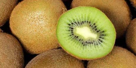 Kiwifruit Study