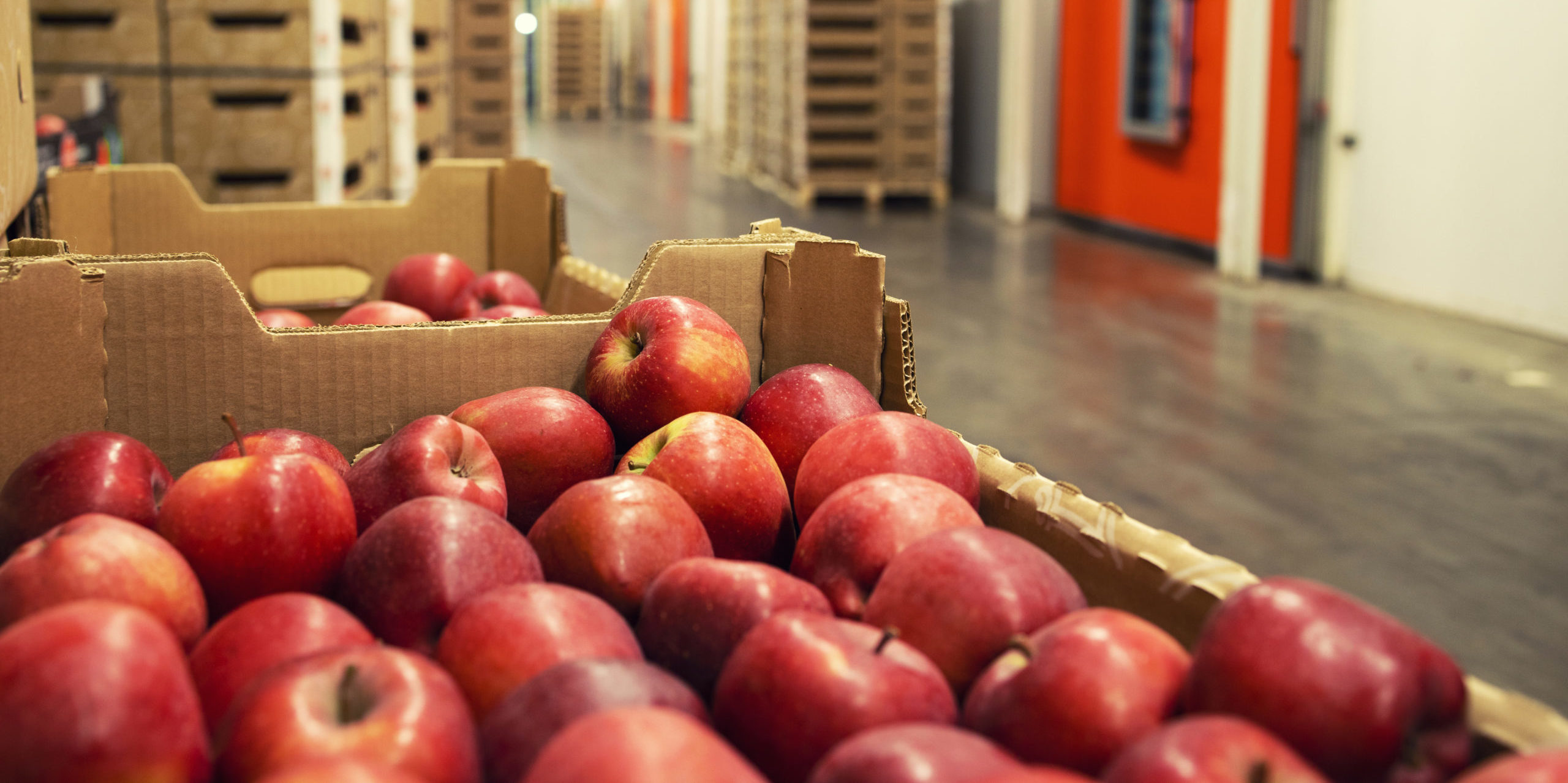 Food is being wasted at every level of the supply chain